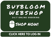 Buy Bloom 